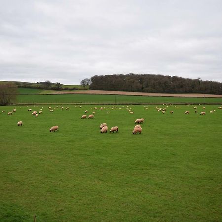 Bed and Breakfast Bournestream Withycombe Exterior foto